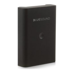 Bluesound BP100 Noir 1