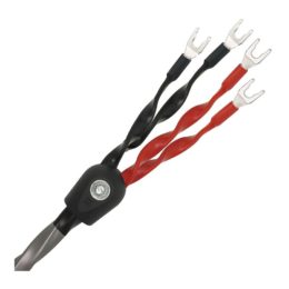 Wireworld Equinoxe 8 Biwired EQB 1