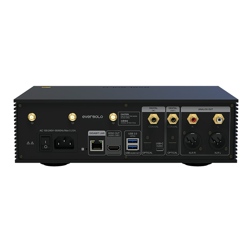 Entrées et sorties du lecteur réseau EverSolo DMP A6 Master Edition