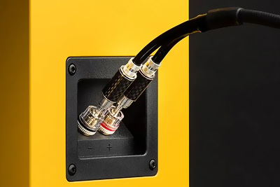 Borniers de connexion plaqués or des Speaker Box 5 S2