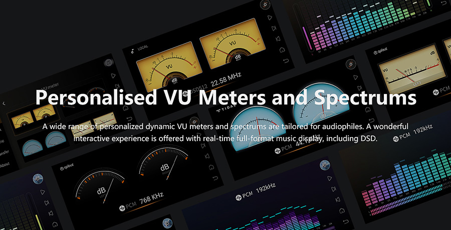 VU-mètres personnalisés et spectres sur le EverSolo DMP-A6 Master Edition affichant les niveaux audio en temps réel et la qualité sonore