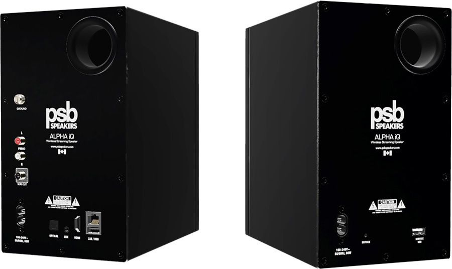 PSB Speakers Alpha iQ connectique
