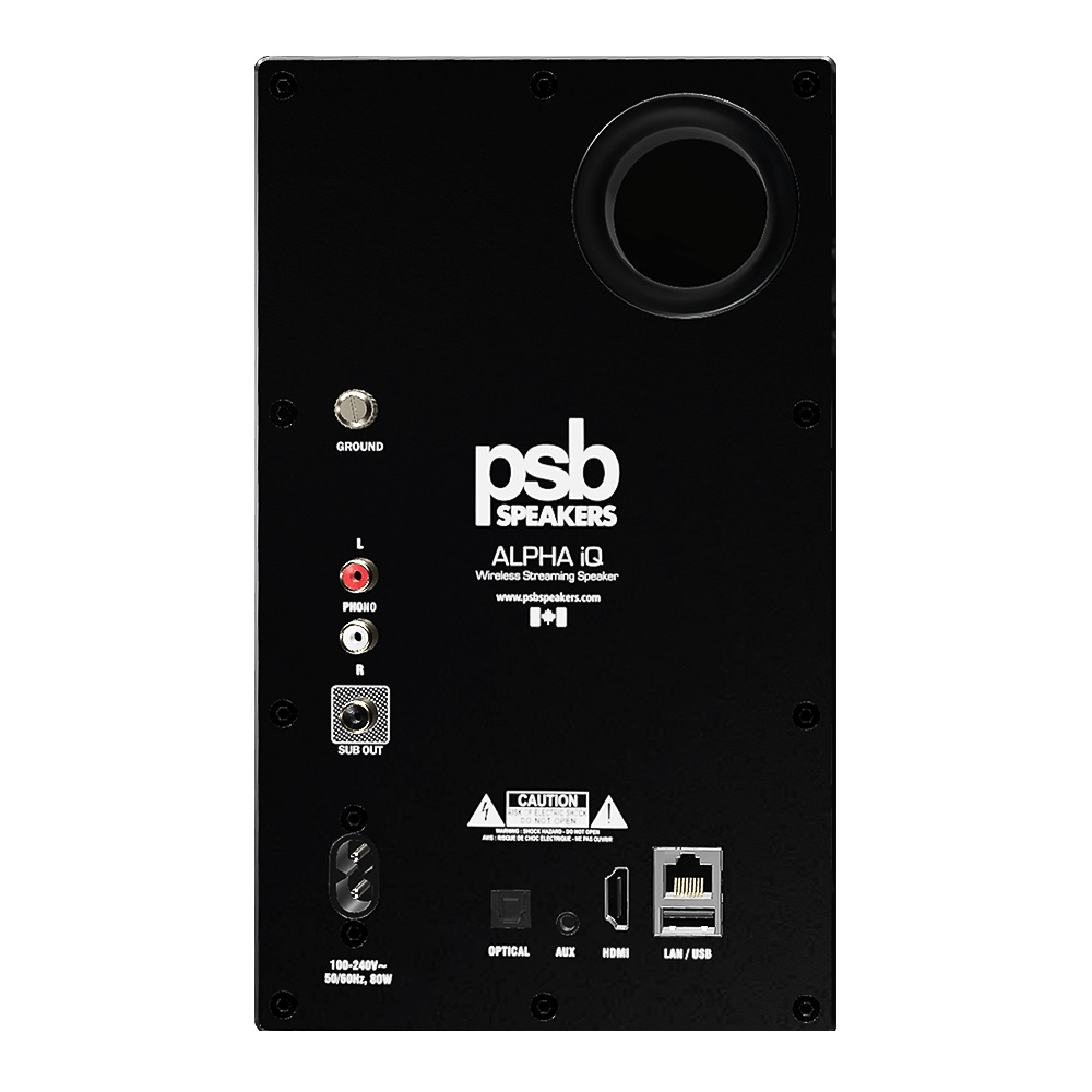 PSB Speakers Alpha iQ face arrière