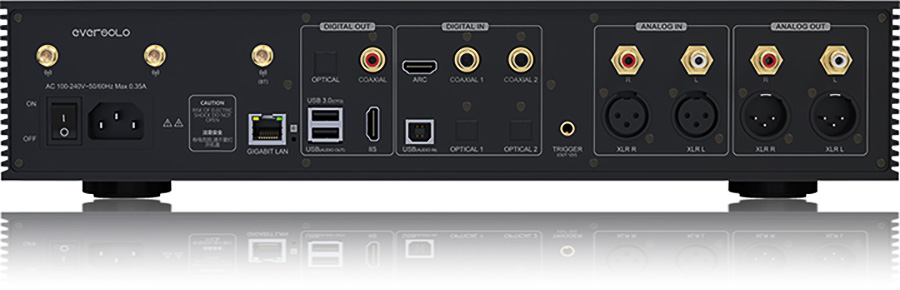 connectique du lecteur réseau EverSolo DMP A8
