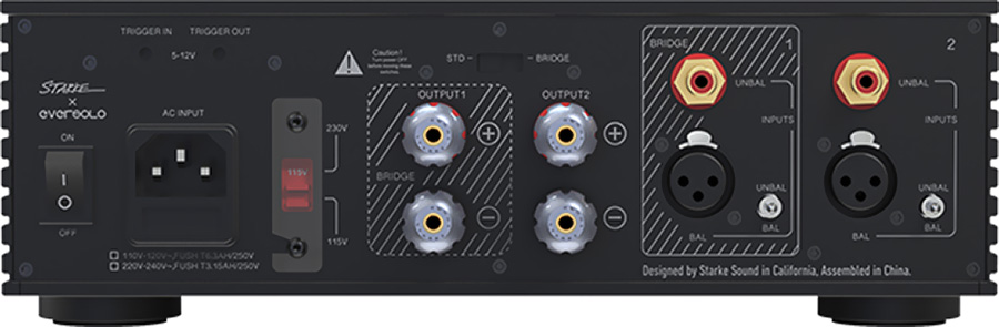 Ampli de puissance EverSolo AMP F2 connectique