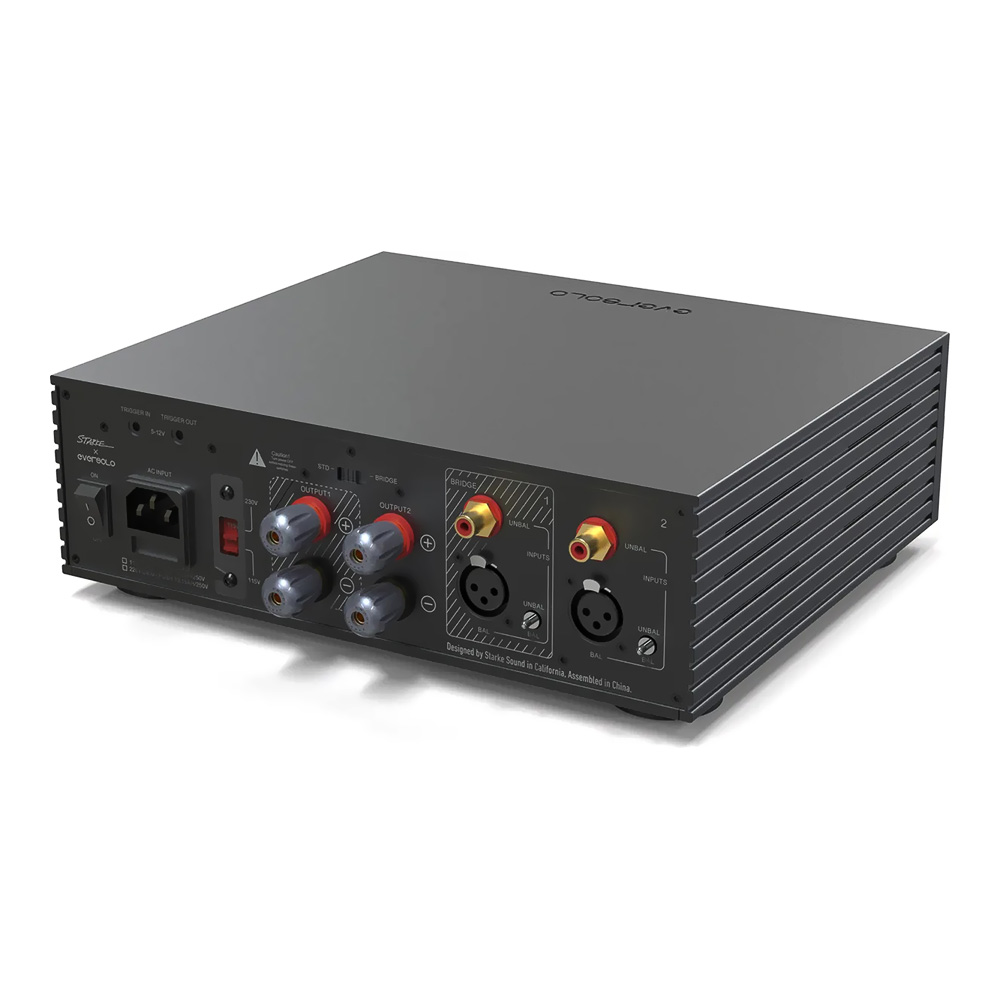 Ampli de puissance EverSolo AMP F2 vue arrière oblique