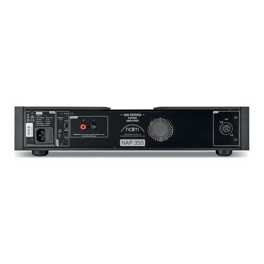 Connectique du Naim NAP 350