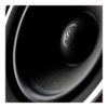 Woofer des Sonus faber Lumina II Amator