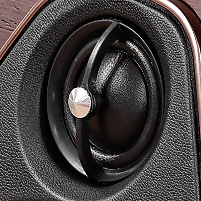 Tweeter Silk Dome DAD de la Sonus faber Sonetto Center G2