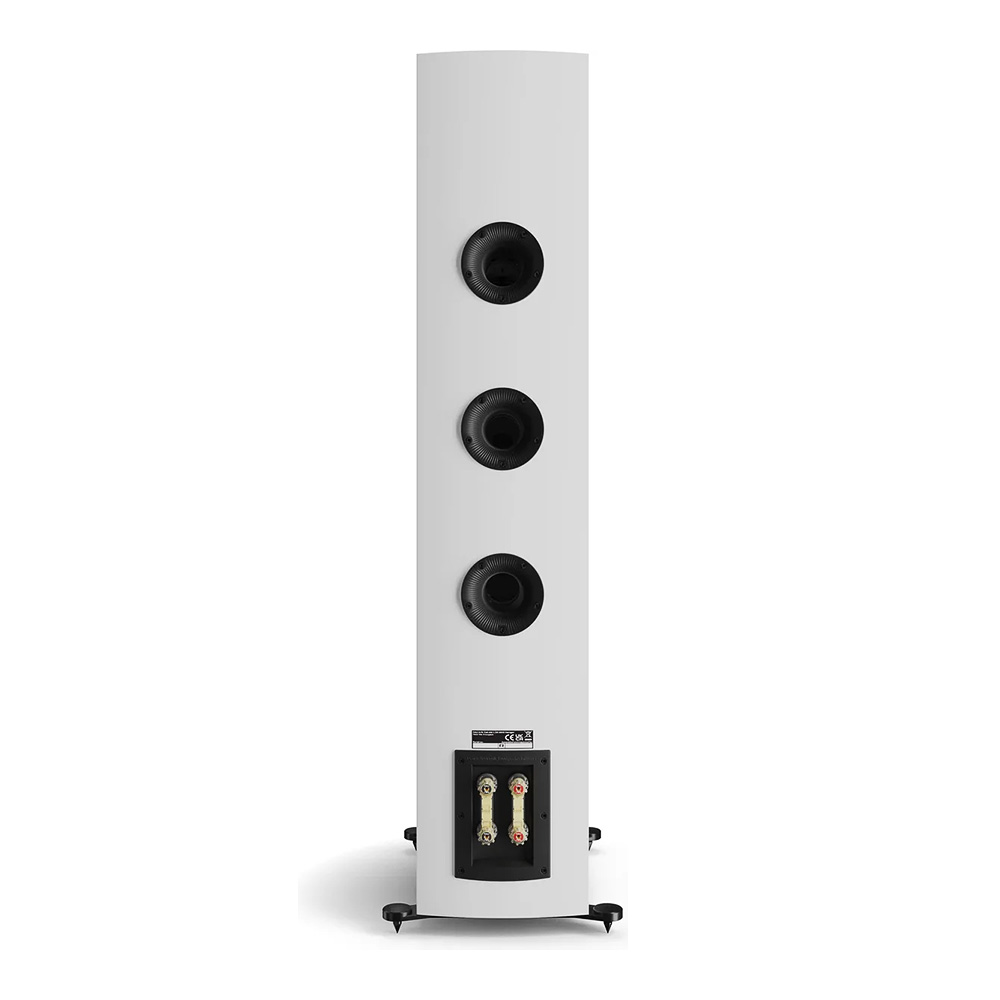 Enceinte colonne Dali Rubikore 8 Blanc laqué face arrière