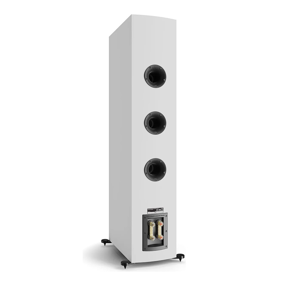 Enceinte colonne Dali Rubikore 8 Blanc laqué vue oblique arrière