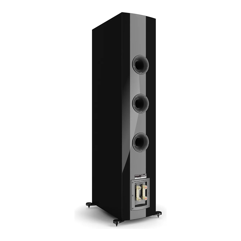 Enceinte colonne Dali Rubikore 8 Noir laqué vue oblique arrière