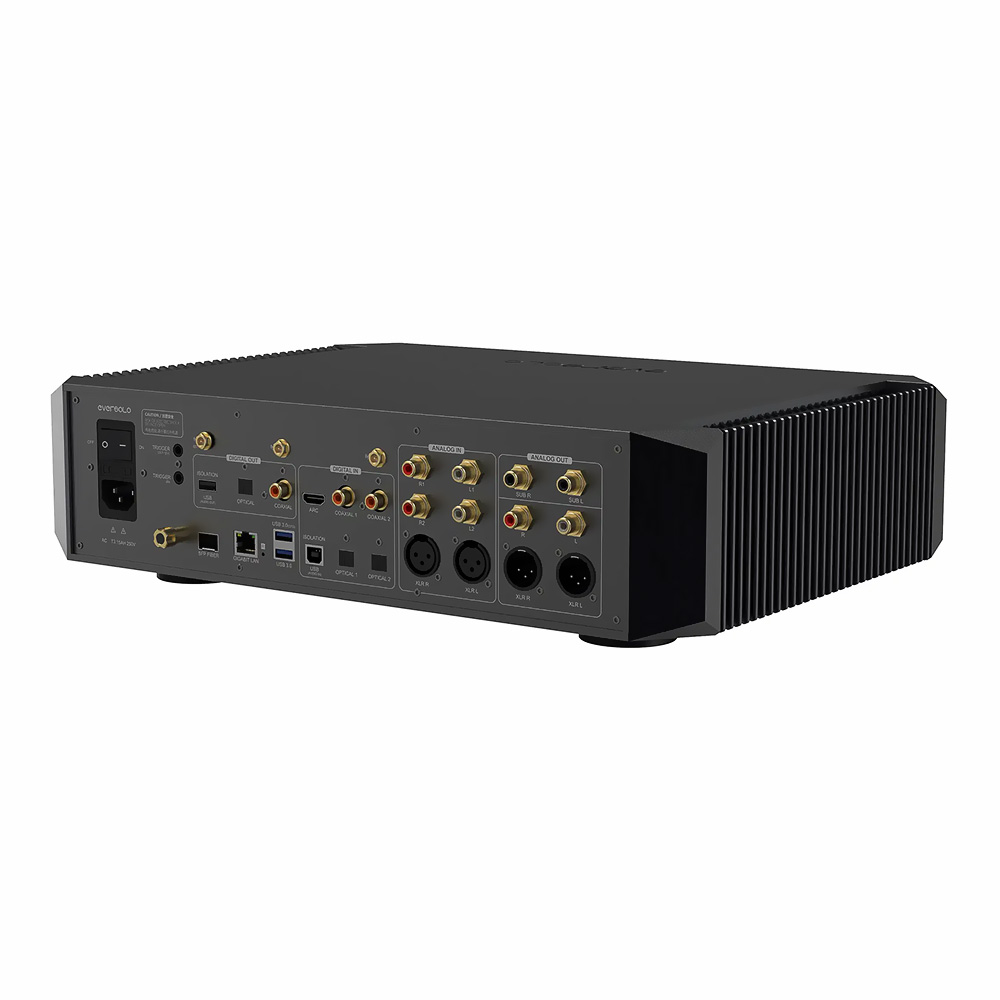lecteur réseau EverSolo DMP A10 vue arrière oblique