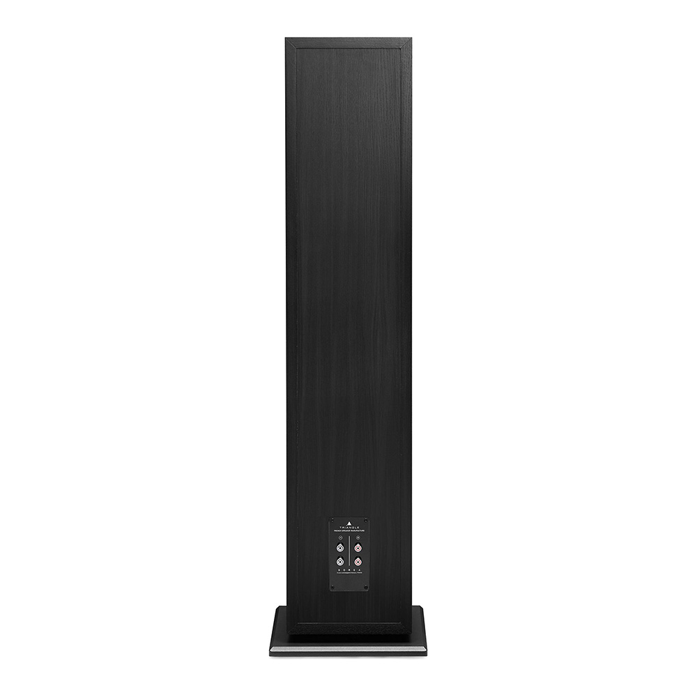 Enceinte colonne Borea BR10 noir face arrière