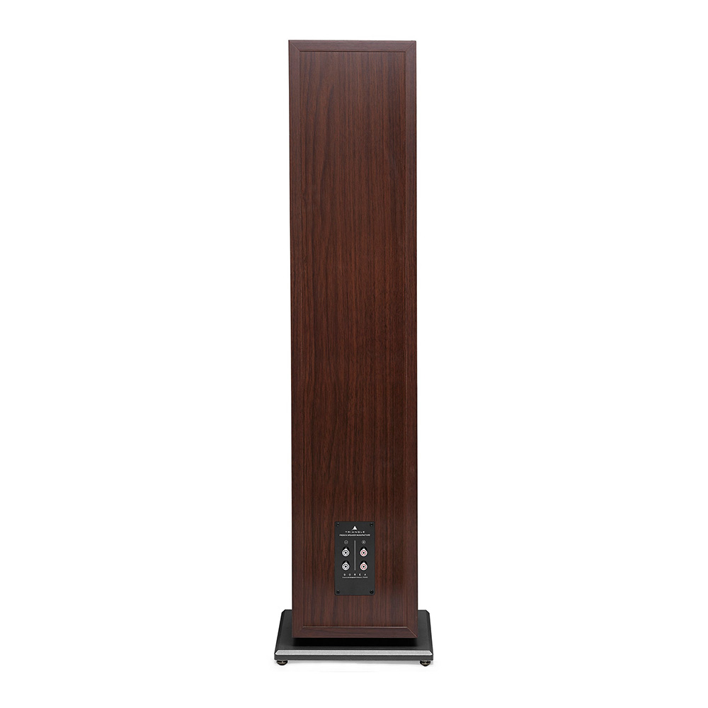 Enceinte colonne Borea BR10 noyer face arrière