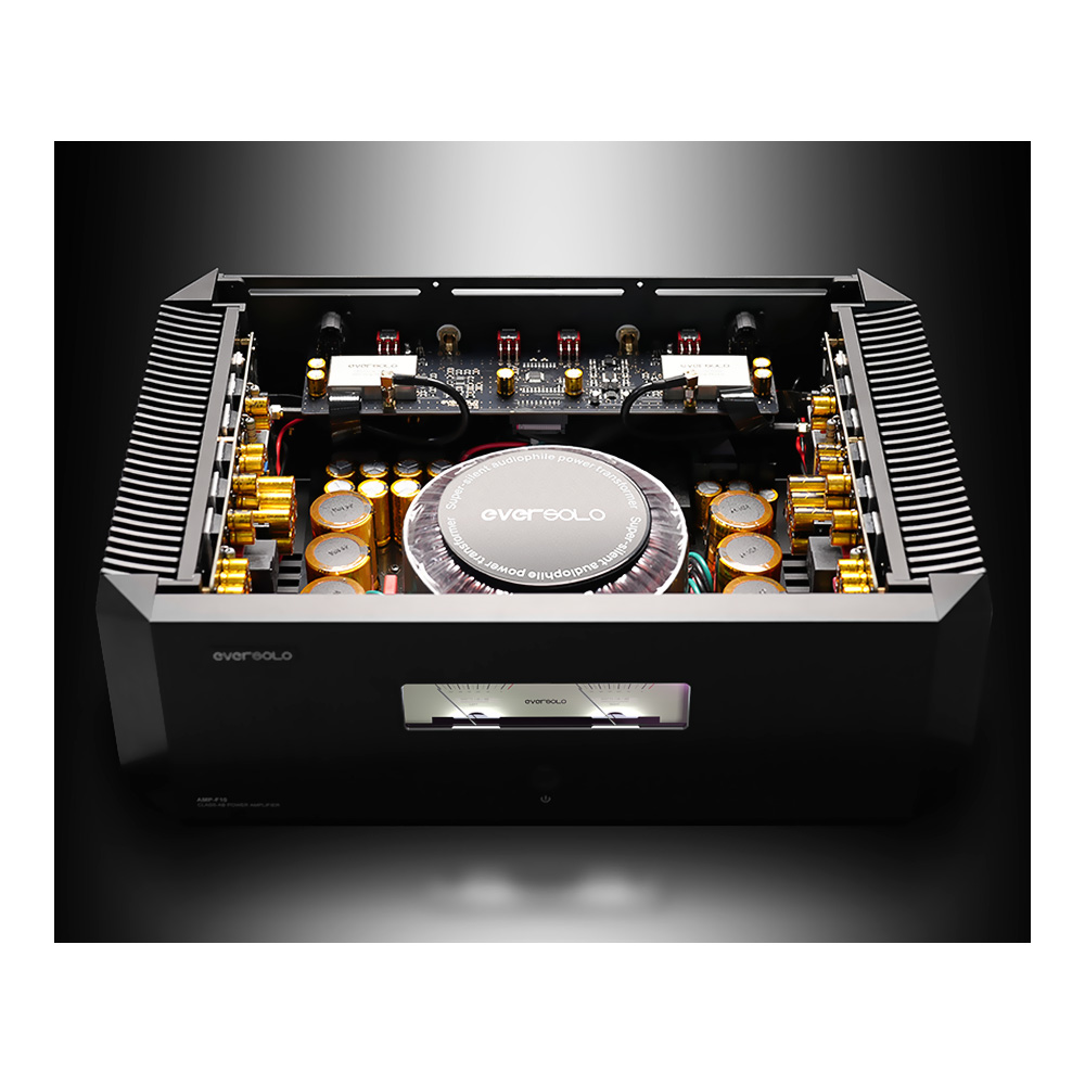 Amplificateur de puissance EverSolo AMP F10 vue intérieure