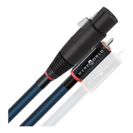 Câble RCA XLR Wireworld Oasis 10 vue 1