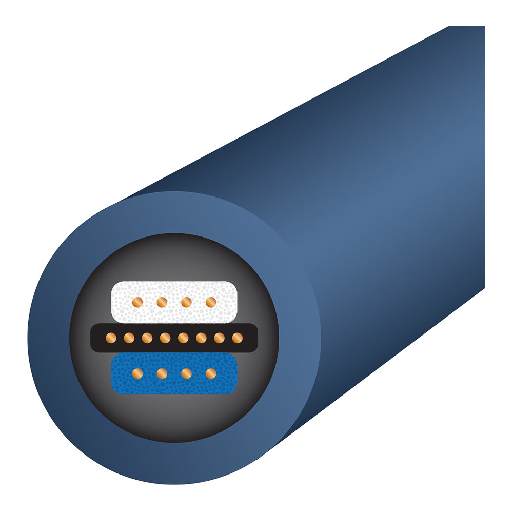 Câble RCA XLR Wireworld Oasis 10 vue 3