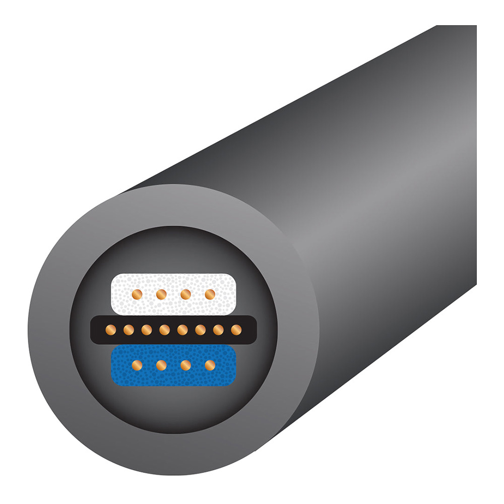 Wireworld Equinox 10 vue 3