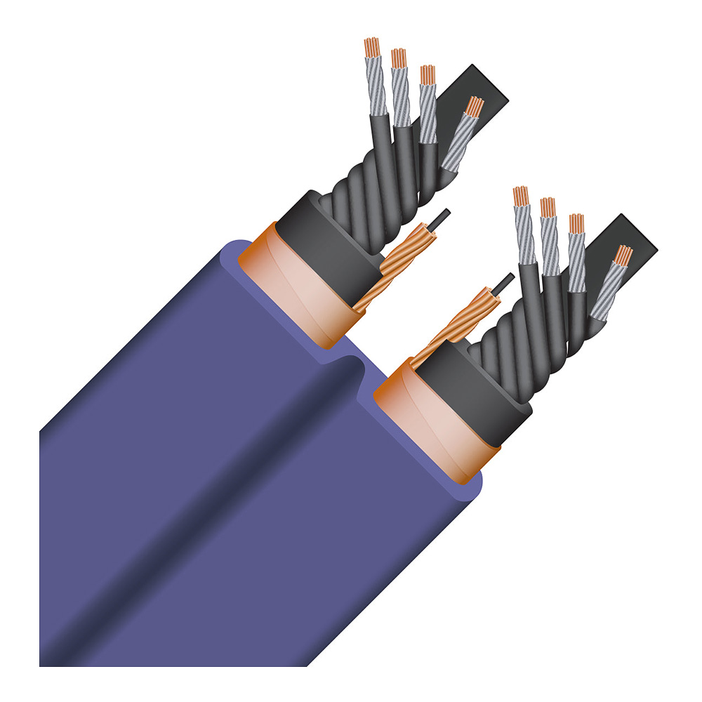 Câble d'alimentation Wireworld Aurora 10 Power vue 2