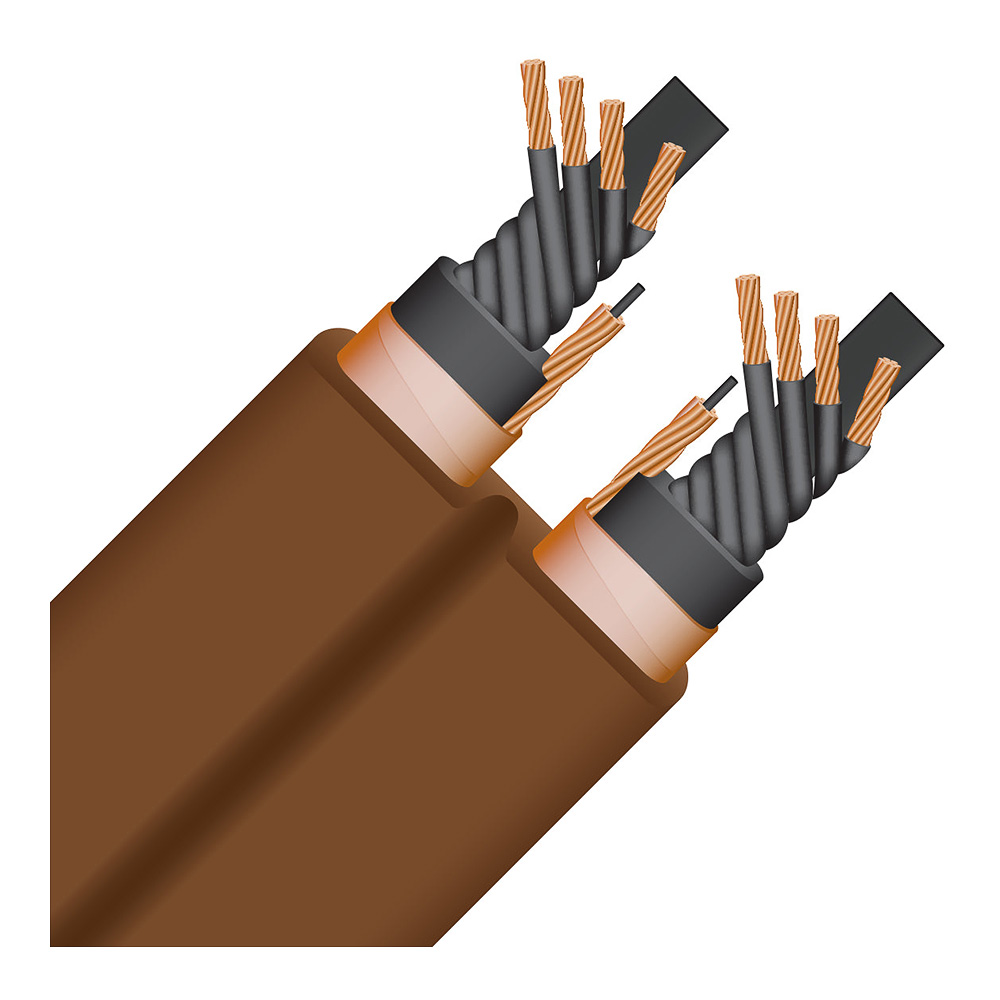 Câble d'alimentation Wireworld Electra 10 Power vue 2