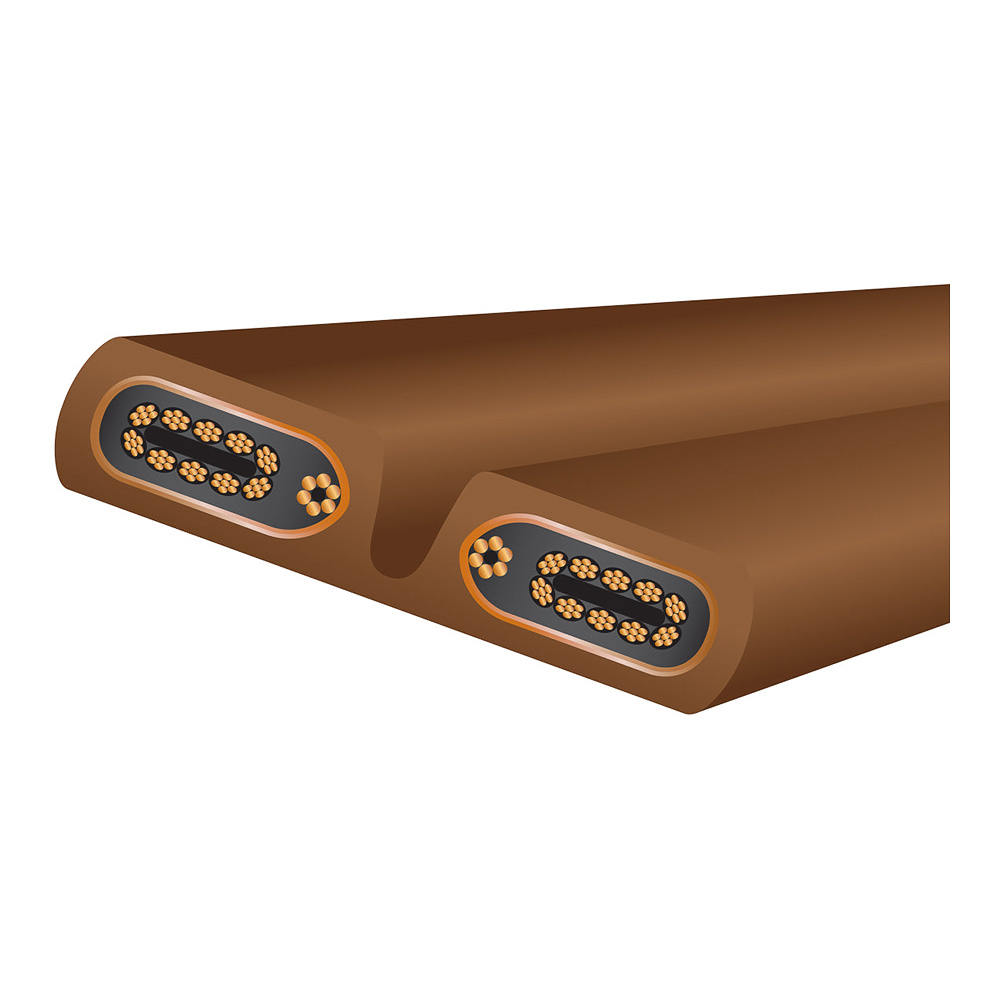 Câble d'alimentation Wireworld Electra 10 Power vue 3