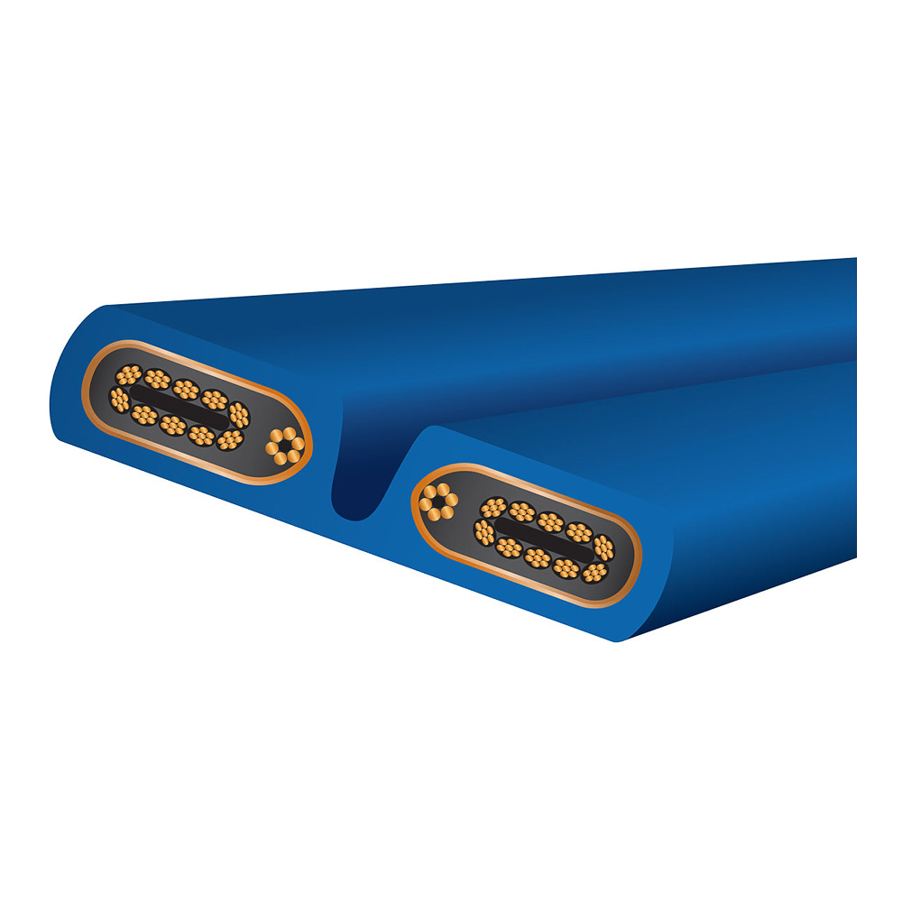 Câble d'alimentation Wireworld Stratus 10 Power vue 3