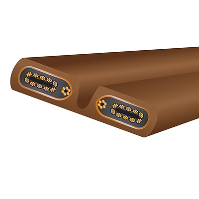Vue détaillée du Wireworld Electra 10 Power révélant l’organisation interne des brins conducteurs l’isolant COMPOSILEX® 5 et la gaine renforcée