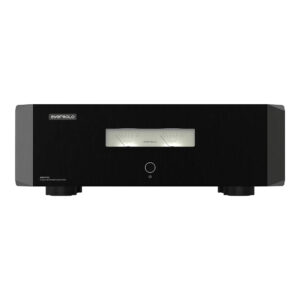 EverSolo AMP-F10